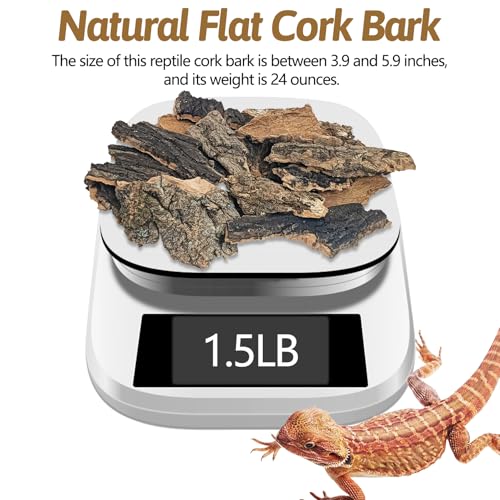 BNOSDM Reptile Cork Bark Substrate 1.5LB Lizard Bedding for Habitat Natural Flat Cork Wood Bulk Terrarium Reusable Bark Pieces for Chameleon, Ball Python, Crested Gecko, Spider, Tortoise, Tree Frog - size: 1.5LB
