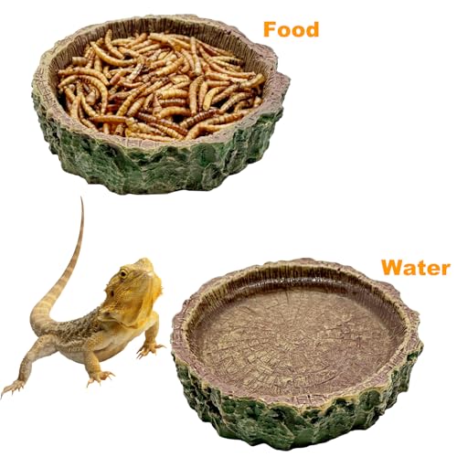 2 Pack Reptile Food Bowls, Reptile Feeding Terrarium Bowls for Bearded Dragon Lizard Frog Gecko Tortoise Hermit Crab Snail (Brown A) - color: Brown - 2 Pack M Round Bowls