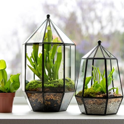 SuperMoss (90405) Glass Terrarium – Elegant Indoor Gardening Décor, Ideal Gifts for Plant Lovers, Modern Home & Office Decoration, 7.5” x 7.5” x 14”, Greenhouse