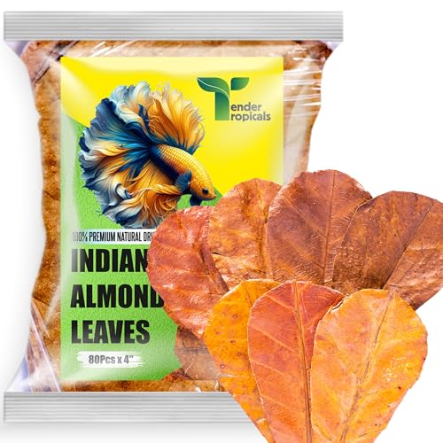 80 Pcs Dried Indian Almond Catappa Ketapang Leaves 4" – Natural Leaf Litter for Betta, Goldfish, Guppy, Tetras & Frogs, Aquarium Botanicals for Fish Tanks, Aquascaping & Terrariums