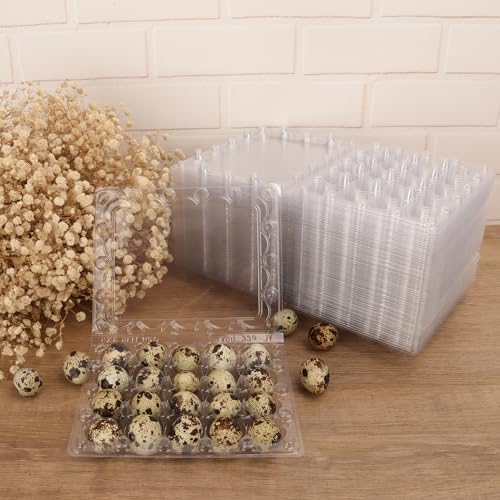 150 Pack Quail Egg Cartons, Clear Plastic Quail Egg Trays, Holds up to 20 Quail Eggs Securely - Your Ultimate Small Eggs Carton Holders for Bulk Storage and Display - size: 150 Pack Quail Egg Cartons 20 Grids