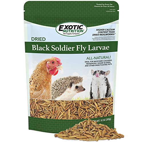 Bulk Dried Black Soldier Fly Larvae (10 oz.) - High-Calcium Insect Treat - Chickens, Wild Birds, Hedgehogs, Bluebirds, Reptiles, Sugar Gliders, Opossums, Skunks, Lizards, Bearded Dragon, Fish - size: 10 Ounce (Pack of 1)