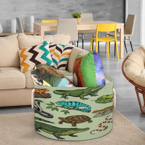 Large Storage Baskets - Reptiles Amphibians Nursery Round Organizer Bin Box with Handles, Collapsible Laundry Hamper for Kids Toys, Blanket, Bedroom Living Room Home Decor, Gift Basket