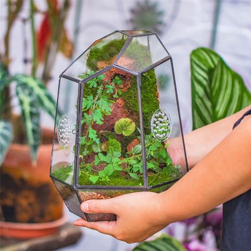 NCYP Closed Geometric Glass Enclosure with Front Opening Door & 2 Vent Holes for Insects, Snail, Moss, Fern - 7.9"x6.9"x9.8" Black Irregular Terrarium - Home Garden Tabletop Decor (No Plants)