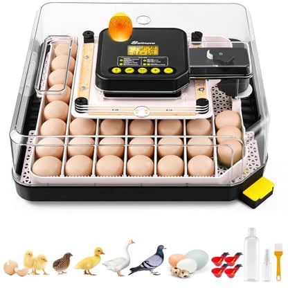 Sailnovo 48 Egg Incubator for Hatching Eggs with Auto Egg Turning, Precision Temp & Humidity Control, 360°Viewing, Egg Candler, Incubator for Chicken Eggs/Duck/Quail,Ideal for Farm/School/Lab,Gray | Precise Temp & Humidity Control，Auto Egg Turning, 360°Vi