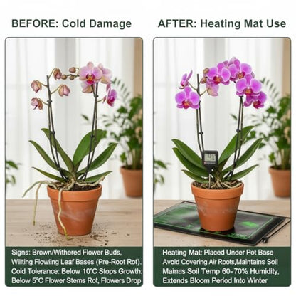 2 Pack Seedling Heat Mat with Thermostat for Plants Seed Starting,10"x20.5" | Temp-Adjustable, Improve germination rate, Stable evenly heat, temperature range 70- 95°F(21-35°C),Waterproof, Fit 1020 Tray - size: 10×20"-2P--Adjustable