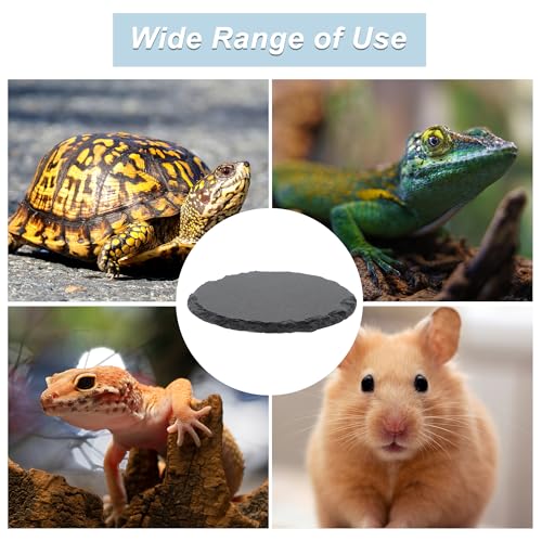 Reptile Basking Platform, Round Tortoise Habitat Slate, Turtle Feeding Slate, Habitat Decor Accessories for Crested Gecko Lizard, Gray Black