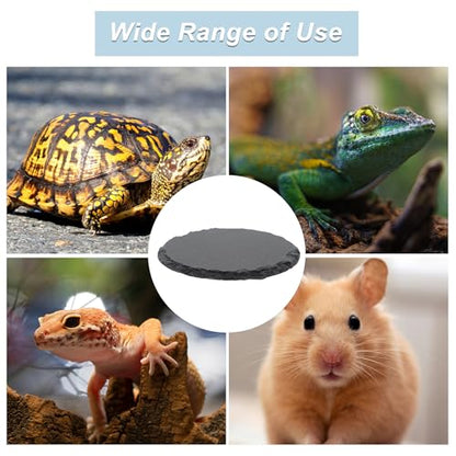 Reptile Basking Platform, Round Tortoise Habitat Slate, Turtle Feeding Slate, Habitat Decor Accessories for Crested Gecko Lizard, Gray Black