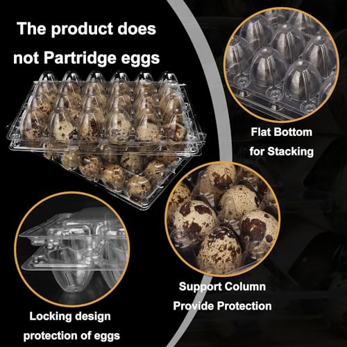 120 Pack Quail Egg Cartons - Clear Plastic Trays Hold 24 Eggs Securely, Ultimate Small Egg Holders for Bulk Storage and Display - size: 120 Pack Quail Egg Cartons 24 Grids