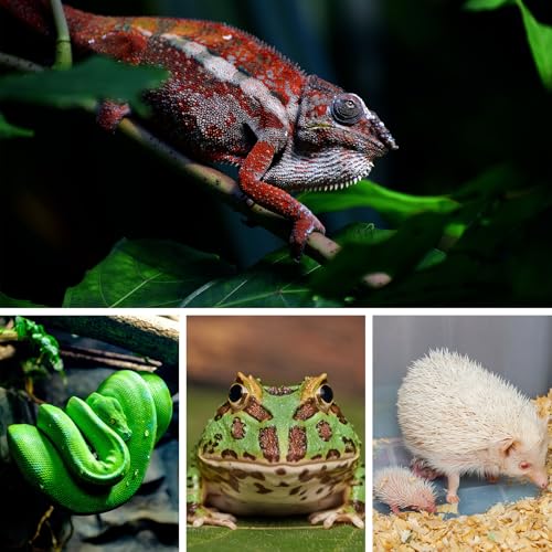 Reptile Heating Pad with PID Thermostat & Timer, 8”x12” Under Tank Heater for Hermit Crab, Snake, Turtle, Lizard, Frog, Spider and Other Reptiles