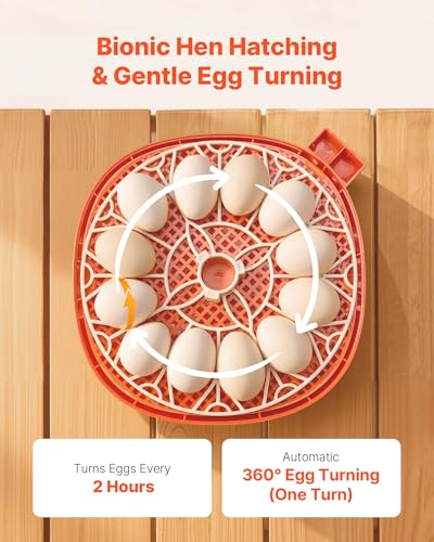 VEVOR 12 Egg Incubator, Automatic Egg Turner with LED Candler, Temperature & Humidity Control, 360° View Clear Window, Poultry Eggs Incubator for Home Farm, Hatching Chicks Ducks Goose Quail - size: 12 Eggs