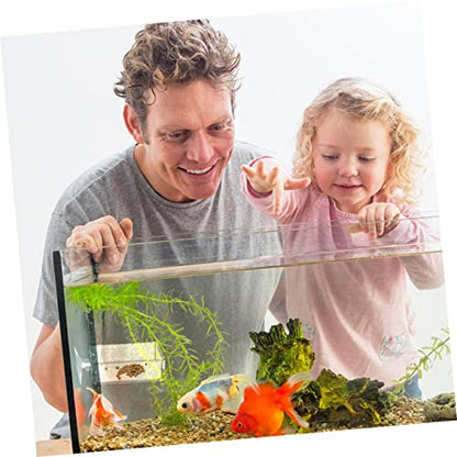 6pcs Acrylic Feeding Dishes for Fish Reptiles Food Holders for Aquariums and Convenient Feeding Trays for Betta and Shrimp Tanks