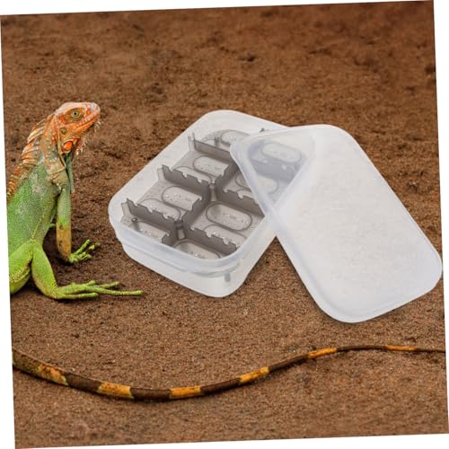 Reptiles Hatching Box Breeding Container for Geckos Turtles and Snakes Transparent Observation Lid Easy to Use and Clean for Home Store