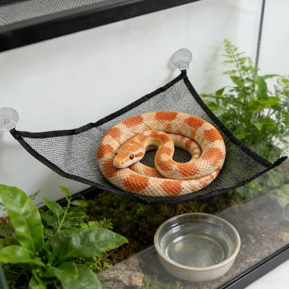 Snake Hammock & Climbing Ball Set - Triangular Breathable Mesh Hammock with 3 Suction Cups, Red Rubber Hollow Ball with Metal Chain, Reptile Climbing Toy & Resting Platform for Ball Python Corn Snake