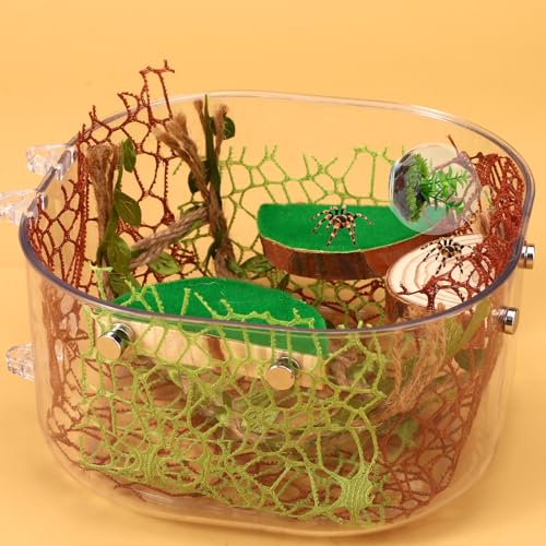Jumping Spider Enclosure Accessories Kit, 4 Wood Ledges 6 Climbing Webs 1 Hemp Rope Bridge Spider Habitat Decor Enrichment Set for Small Reptile Terrarium Climbing Resting & Exploration