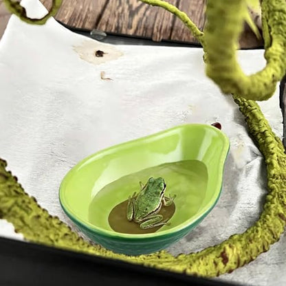 JSLZF Tree Frog Habitat Frog Water Bowl Dish Bathtub Tank Accessories Terrarium Decor Ceramic Aquarium Decoration Sturdy and Not Easy to Knock Over (2 PCS)