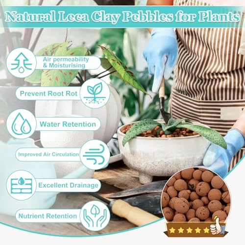 19LB Organic Leca Clay Pebbles for Plants, 4-16mm Natural Leca Ball | Reusable, Drainage, Aeration, Moisture Retention, Hydroponic, Lightweight for Orchids, Succulents, Terrarium, Indoor Plants - size: 19LB