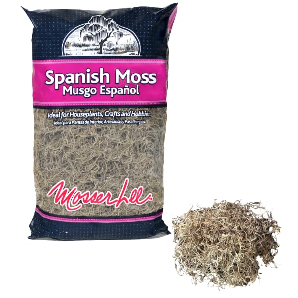 Mosser Lee Spanish Moss – Natural Decorative Moss for Houseplants, Soil Cover, Crafts, Terrariums & Floral Arrangements - 400 Cubic Inches (Approx 9oz) - size: 400 Cubic Inches