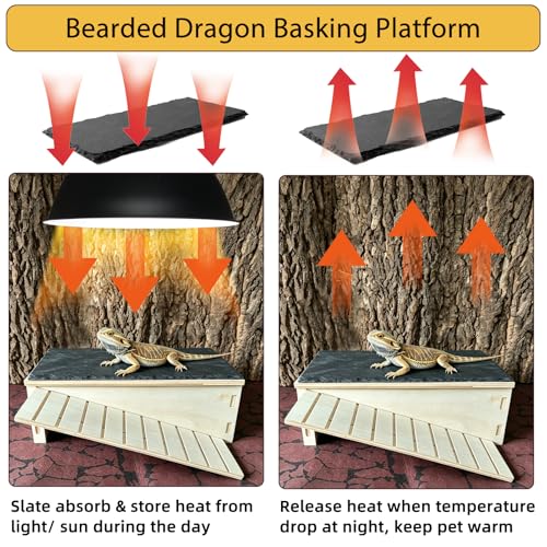 Bearded Dragon Basking Platform Gecko Hide Wood Reptile Hide Cave | Large,12.9"×7.1"×4.7",Detachable,Installation Instructions,with Slate Rock Mat,for Gecko Chameleon Snake Crested Gecko - size: Large