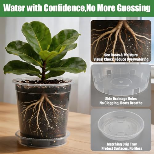 BTPLASTIK 2 Gallon Clear Nursery Pots with Saucers 5P, 7.5 Inch Round Plastic Plant Pots with Drainage Holes - size: 2 Gallon + Saucers 5P