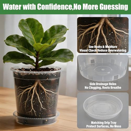 BTPLASTIK 5 Gallon Clear Nursery Pots with Saucers 5P, 12 Inch Round Plastic Plant Pots with Drainage Holes - size: 5 Gallon + Saucers 5P