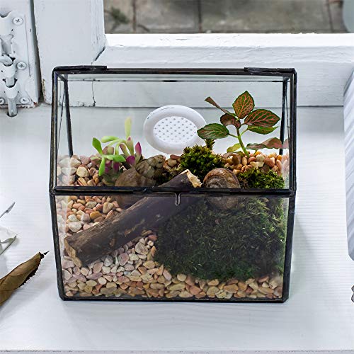 NCYP Small Glass Terrarium with lid for Air Plants Succulent - 5.9x4.4x6.4 Inches Handmade Geometric House Shape Close Glass Box for Snail, Black Tabletop Container (Glass Box Only)