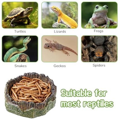 Small Reptile Food Dish, 2 PCS Reptile Water Dish Food Bowl Reptiles Feeding Foods Resin Terrarium Bowl for Bearded Dragon Gecko Frog Snake Chameleon Tortoise