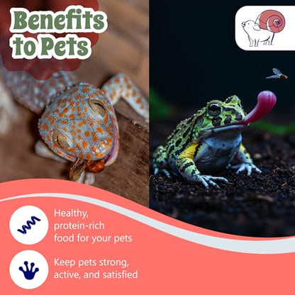 16 oz Deli Cup and Fabric Vented Insect Feeder lids by Snout & Shell - Pack of 10 Cups and lids - size: 16oz/10 cups