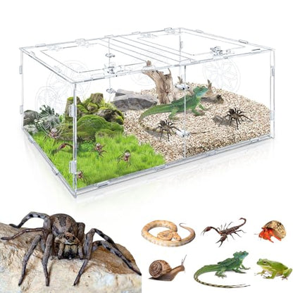 Large Jumping Spider Enclosure, 15.75*7.87*9.84in Acrylic Tarantula Enclosure, Reptile Enclosure for Small Tree Dwelling Reptiles, Amphibians and Invertebrates, Insect Terrarium with Locking Latch