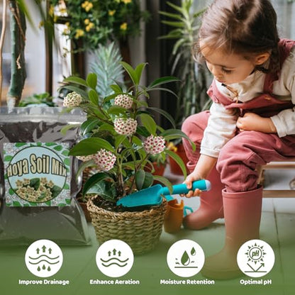 Doter Potting Soil Mix for Hoya 1qt, Custom Hand Blended Mixture Suitable for Indoor/Outdoor Potted Fern Plant - size: 1qt