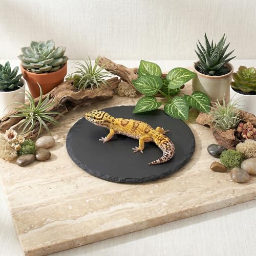 Reptile Basking Platform 6" Round Slate Rock Plate, Natural Tortoise Feeding Bowl Resting Stone for Bearded Dragon Turtle Lizard Gecko