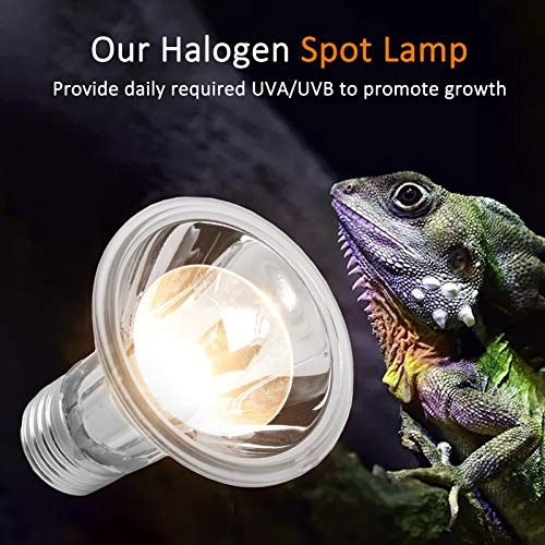 Reptile Sun Lamp, Full Spectrum Light Self Ballasted Vapor Basking Spot Light Bulb Visual Light Heat UBA UVB Sunbathe Bulb for Reptile Amphibian(75W) Heat Lamps