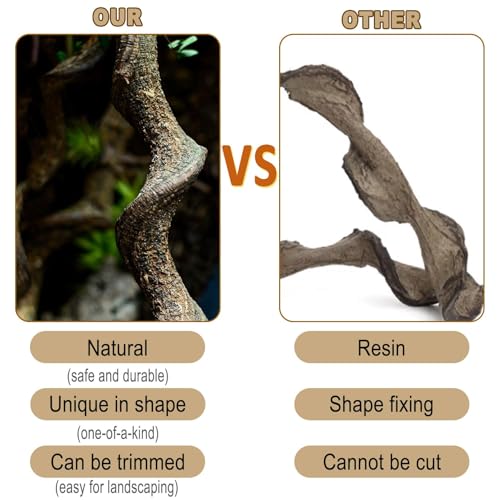 Reptile Decor 4PCS Natural Forest Branch Terrarium Habitat Wood Decoration Lizard Climbing Tree Branch for Bearded Dragon Gecko Snake Frog Chameleon Spider