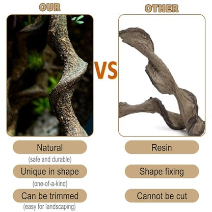Reptile Decor 4PCS Natural Forest Branch Terrarium Habitat Wood Decoration Lizard Climbing Tree Branch for Bearded Dragon Gecko Snake Frog Chameleon Spider