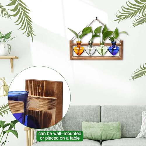 Plant Propagation Stations Heart Plant Terrarium Kit | Gift for Women Plant Lover Glass Vases - color: Color01