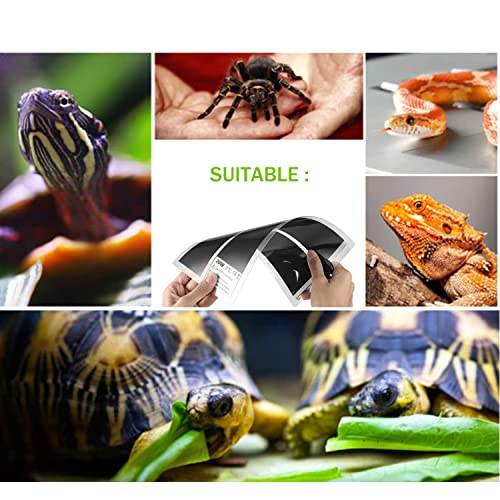 Reptile Heating Mat with Temperature Adjustment, Waterproof Reptile Heat Pad Under Tank Terrarium Heater for Amphibians, Small Animals, Seeding (20W - 16.5 x 11 in)