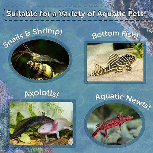Axolotl Pellet Food 3/16" Soft Moist Sinking Pellets for Juvenile Axolotl Also Shrimp, Snails, Crayfish, Bottom Tropical Fish, Blackworm Pellets Included 12oz Canister - size: 12 Ounce (Pack of 1)