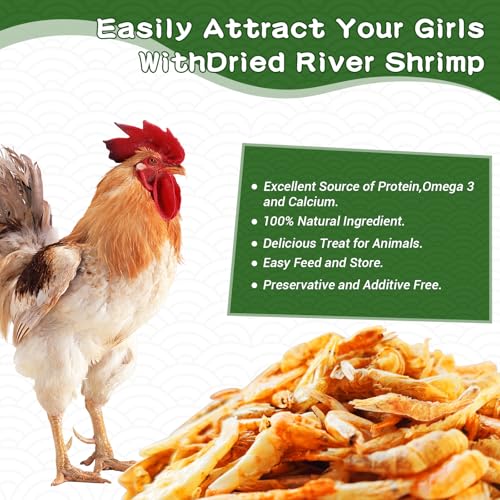 5lb Dried River Shrimp for Chicken, High Protein Natural Treat | Red Dried Shrimp Loved by Turtles, Reptiles, Fish & Poultry, Perfect for Aquariums, Ponds, Backyard Chickens Laying Hens Bird - size: 5 Pound (Pack of 1)