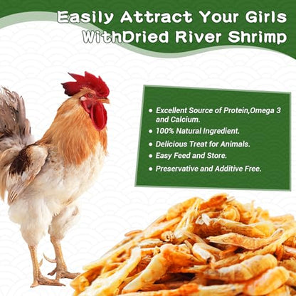 1lb Dried River Shrimp for Chicken, High Protein Natural Treat | Red Dried Shrimp Loved by Turtles, Reptiles, Fish & Poultry, Perfect for Aquariums, Ponds, Backyard Chickens Laying Hens Bird - size: 16 Fl Oz (Pack of 1)