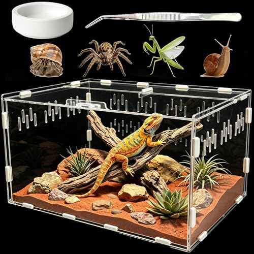 Jumping Spider Enclosure, Insect Terrarium, Bug Cage, Acrylic Terrarium for Tarantula, Snail, Praying Mantis, Frog, and Small Reptiles, Includes Tweezer and Bowl, (11.8" x 7.8" x 5.9") - size: 11.8" x 7.8" x 5.9"