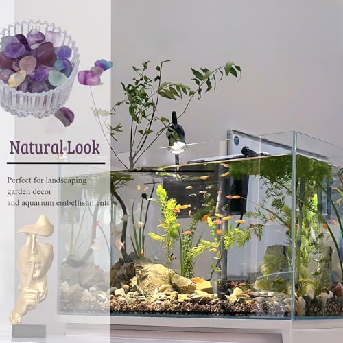 1lb Fluorite Aquarium Gravel Rocks - Tumbled Healing Crystal Chips - Bulk Gemstones for Fish Tank Decor - Fountain Vase Filler Planters - for Potted Plants