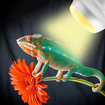 100W High-Output Reptile Basking Spot Lamp, Daylight Heat Bulb | Intense Daylight Heating, Promotes Activity & Digestion for Desert Reptiles, Large Terrariums & Basking Enclosures, E26 Base - color: Intense Basking Spot, size: 100W Upgraded - 3.1"