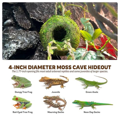 Moss Cave Hideout with Hanging Rope & Hemp Climbing Ladder – Natural Reptile Tank Decor Accessories for Crested Geckos, Chameleons, Tree Frogs, Leopard Geckos & Snakes. Terrarium & Vivarium Decor (4") - size: 4"