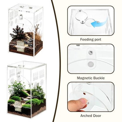 Set of 2 Jumping Spider Enclosure | Acrylic Insect & Bug Terrarium, Praying Mantis Habitat, No Assembly Required, 2-Size Kit - size: 1.5mm