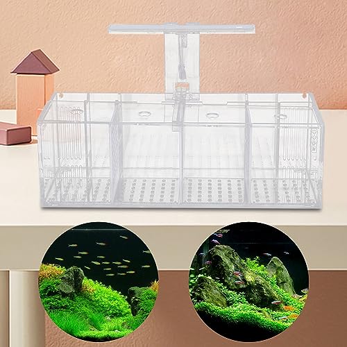 Acrylic Aquarium, 4 Grids Clear Fish Tank, Fancy Fish Tank with Led & Isolation Board, 4 Grids Polyculture Fishbowl with Holes Cover & Bottom Plate, for Home, Office, Fish, Shrimp, Turtles, Crabs
