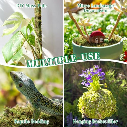 Riare 2.8LB Premium Sphagnum Moss for Plants- 55QT Natural Dried Plant Moss | Moisture Retention & Drainage Orchid Moss for Repotting, Succulents, Carnivorous, Ferns, Green Moss for DIY Craft, Reptiles - size: 55 QT(Appx.2.8lbs)