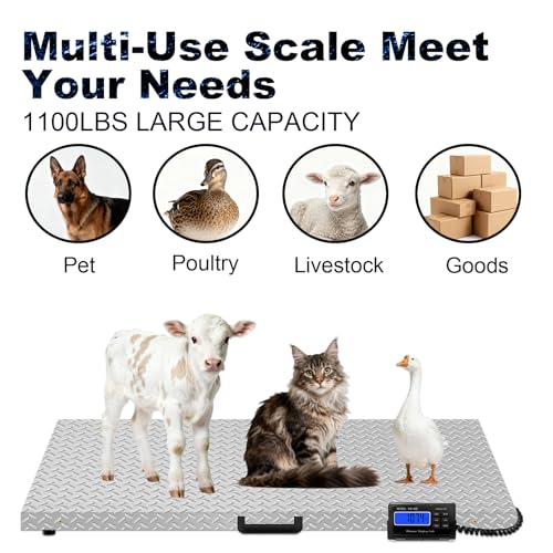 1100Lbs x 0.2Lbs Digital Livestock Scale Stainless Steel Non-Slip Platform Scale Electronic Heavy Duty Postal Shipping Scale for Large Pet Dog Goat Pig Cattle Sheep