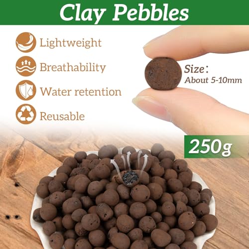 RAINFLOW Leca Clay Pebbles for Plants - 5-10mm Clay Balls for Gardening | Hydroponic Growing Media for Indoor Plants Orchids, Drainage Decoration, Aquaponics Gardening Terrarium Supplies 250g