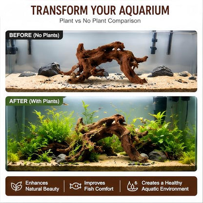 Natural Aquarium Driftwood, 15 to 18 Inch Single Piece, Fish Tank Decor and Aquascaping Wood for Freshwater Aquariums, Reptile Terrarium and Air Plant Display