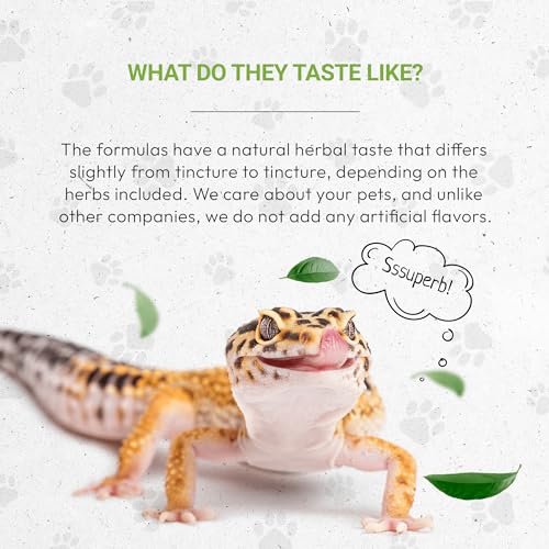 Reptilian Bones | Natural Herbal Dietary Pet Supplement for Reptiles | Support Healthy Bones | Alcohol-Free Extract, Dandelion Root, Alfalfa, Calendula, Chamomile, Fennel 2 oz